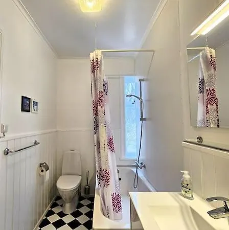 Capacious Downtown Vintage Gem Holiday home *